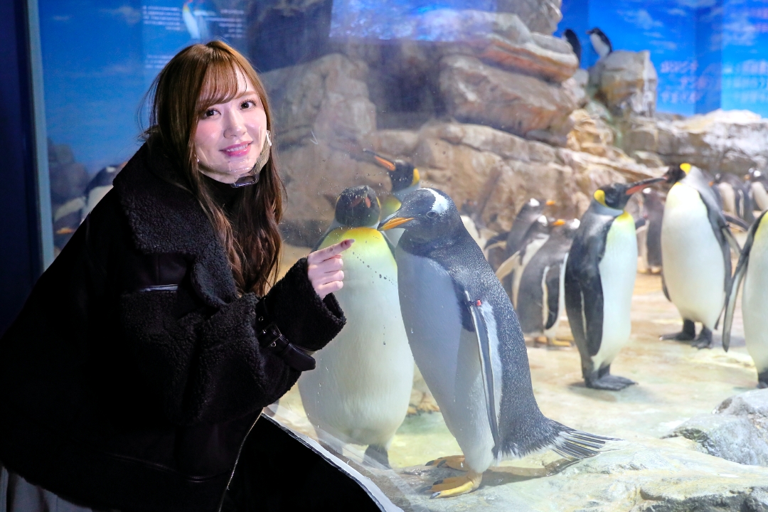 海響館 ペンギン村 Photo