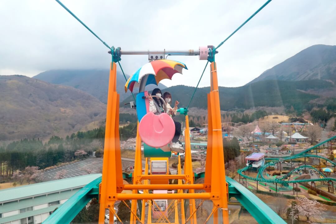 足ブラ観覧車 Photo