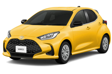 マスタード〈5C5〉フロントサイド