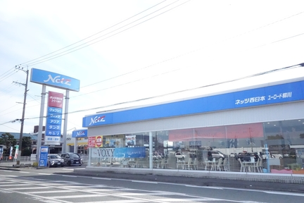 柳川